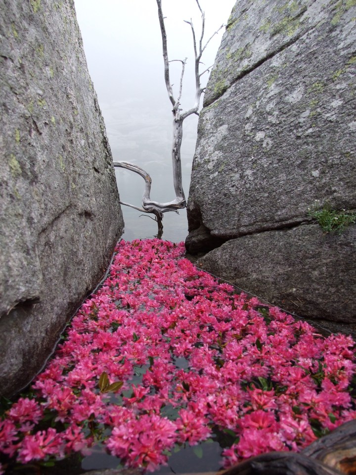 Weit weg am Laghetto di&nbsp;Pianca