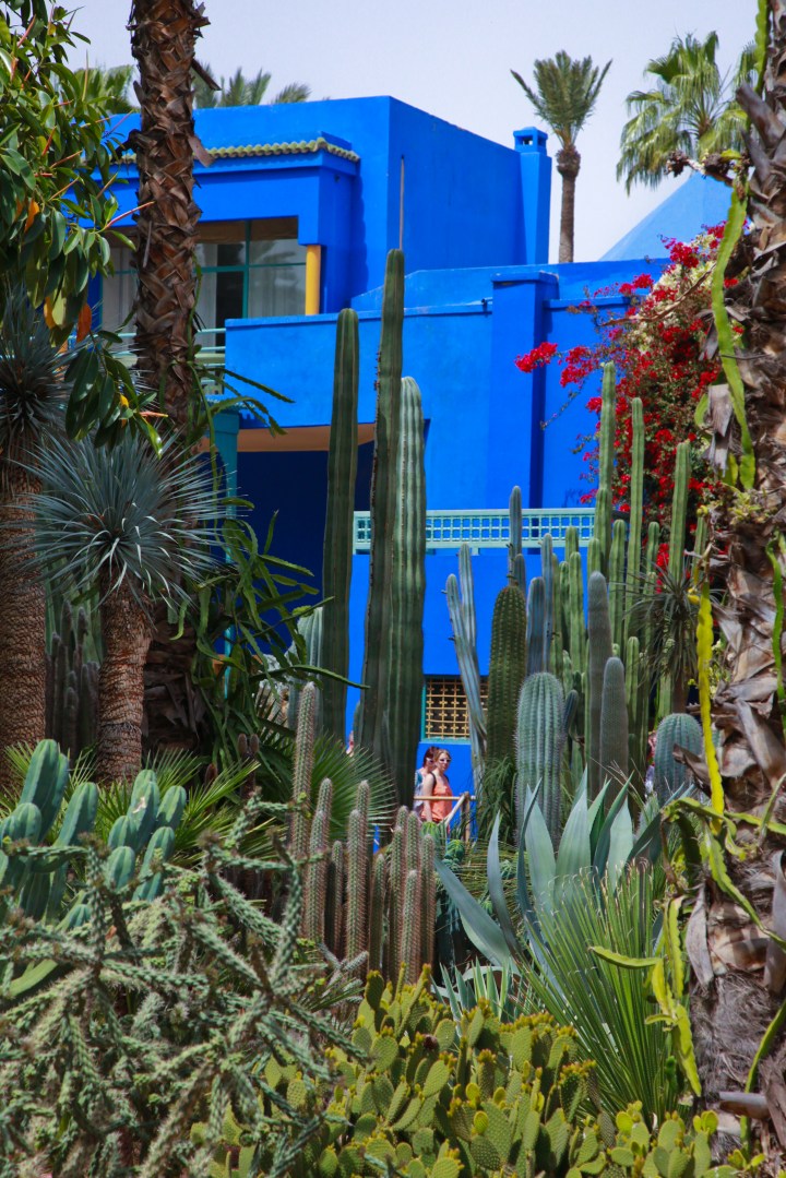 Der Jardin Majorelle von Yves Saint Laurent in&nbsp;Marakesh